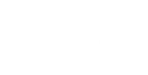 Imagen Grupo Pyme Digital